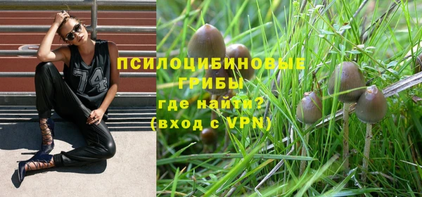 спайс Беломорск