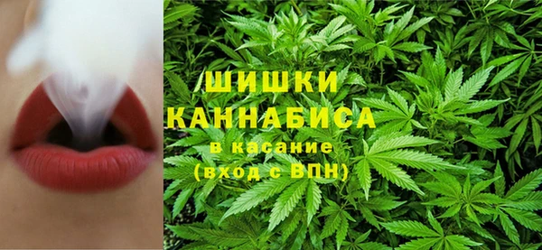 соль ск Белокуриха