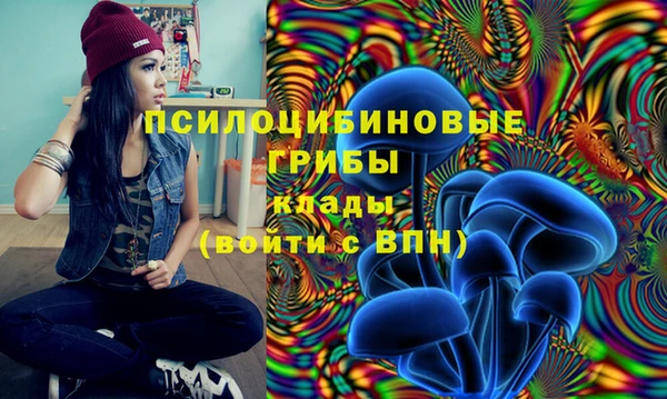 соль ск Белокуриха