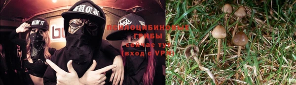 спайс Беломорск