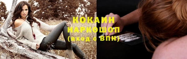соль ск Белокуриха