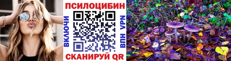 Псилоцибиновые грибы Psilocybe  Облучье 