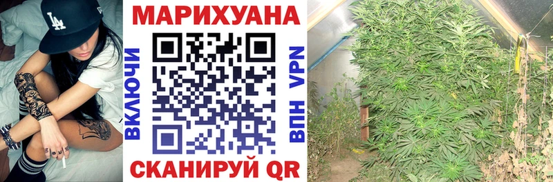 что такое   Облучье  Конопля гибрид 